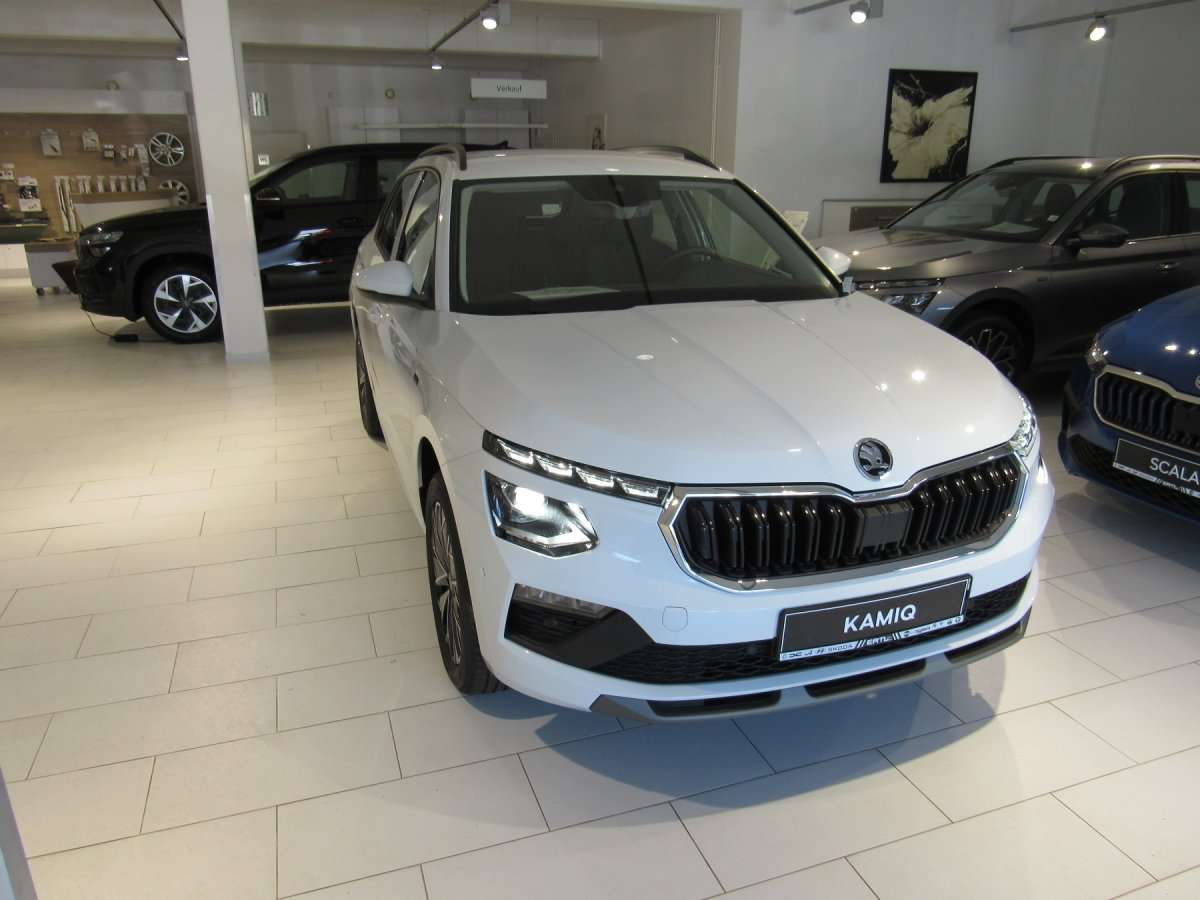 Fahrzeugbild eines Skoda Kamiq