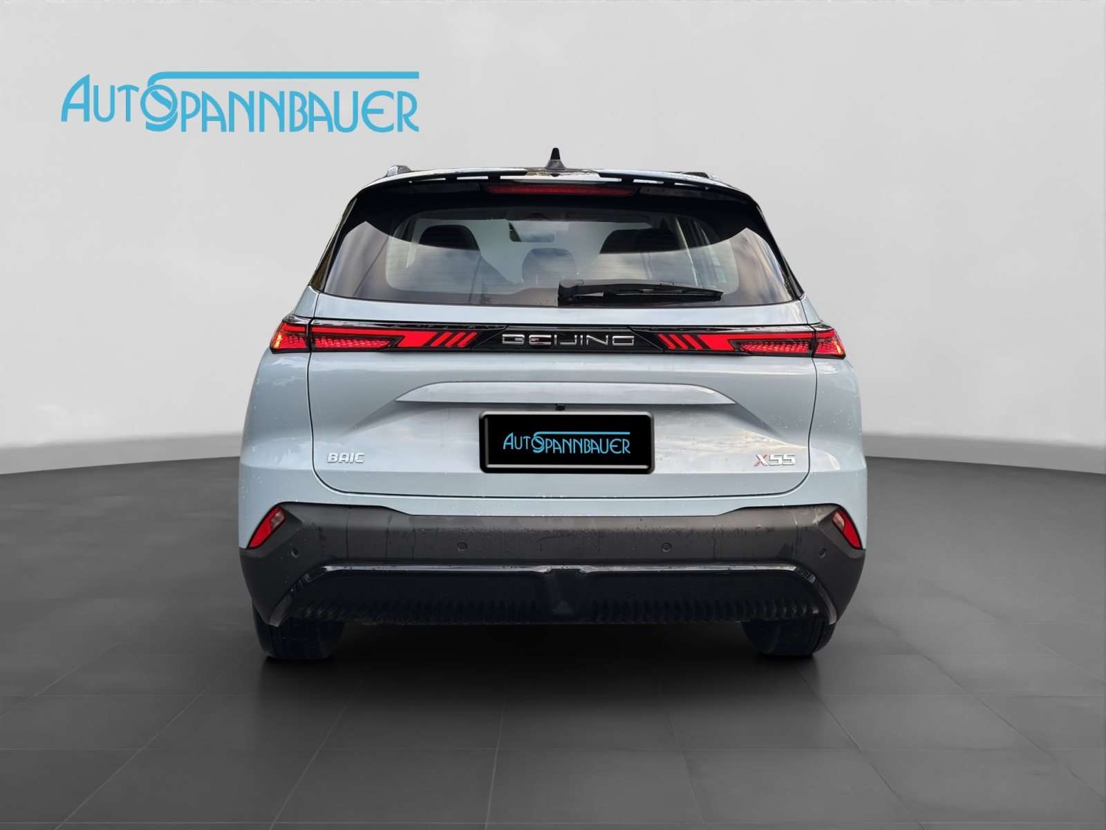 Fahrzeugbild eines BAIC X55