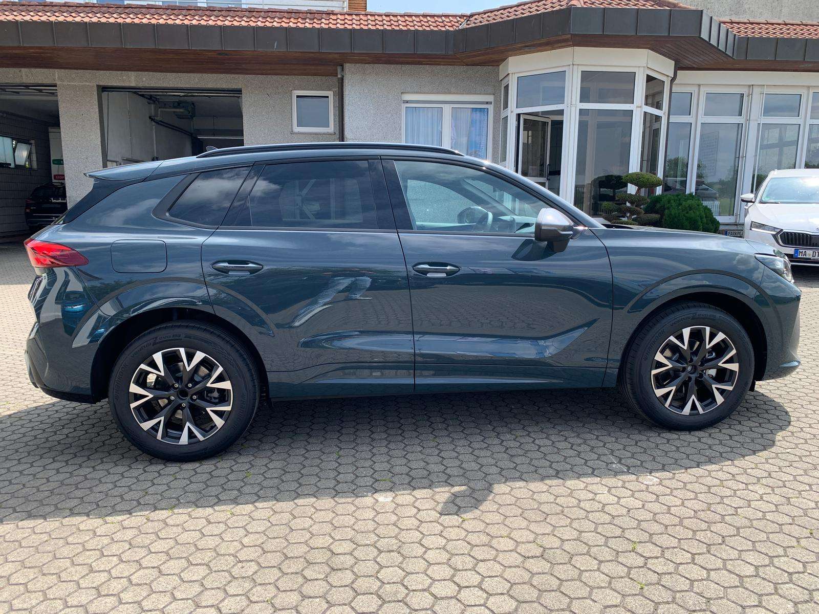 Fahrzeugbild eines CUPRA Terramar