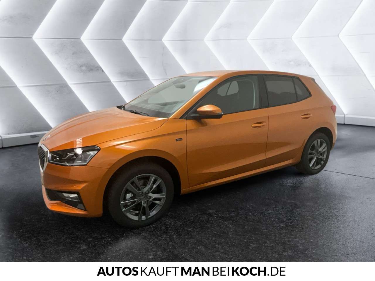 Fahrzeugbild eines Skoda Fabia