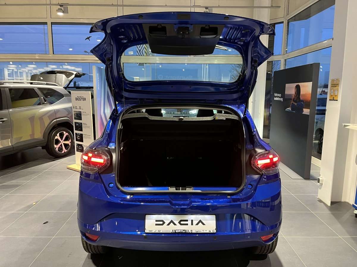 Fahrzeugbild eines Dacia Sandero