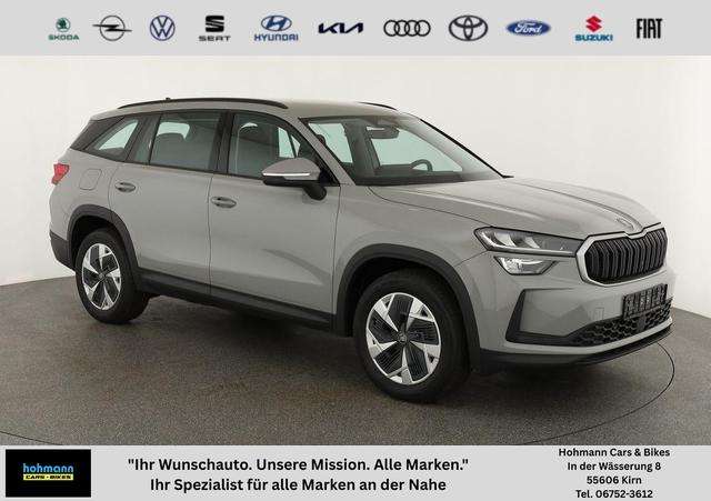 Fahrzeugbild eines Skoda Kodiaq
