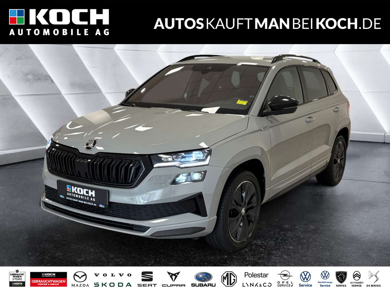 Fahrzeugbild eines Skoda Karoq