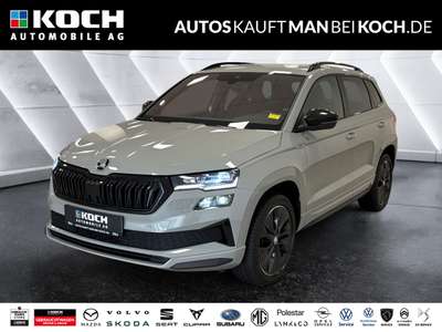 Bild Skoda Karoq