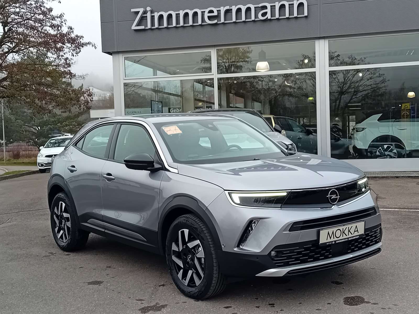 Fahrzeugbild eines Opel Mokka