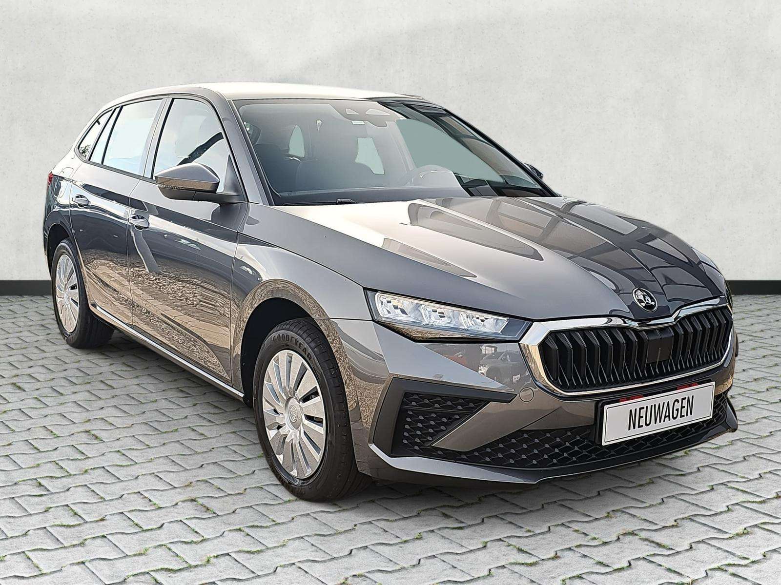 Fahrzeugbild eines Skoda Scala