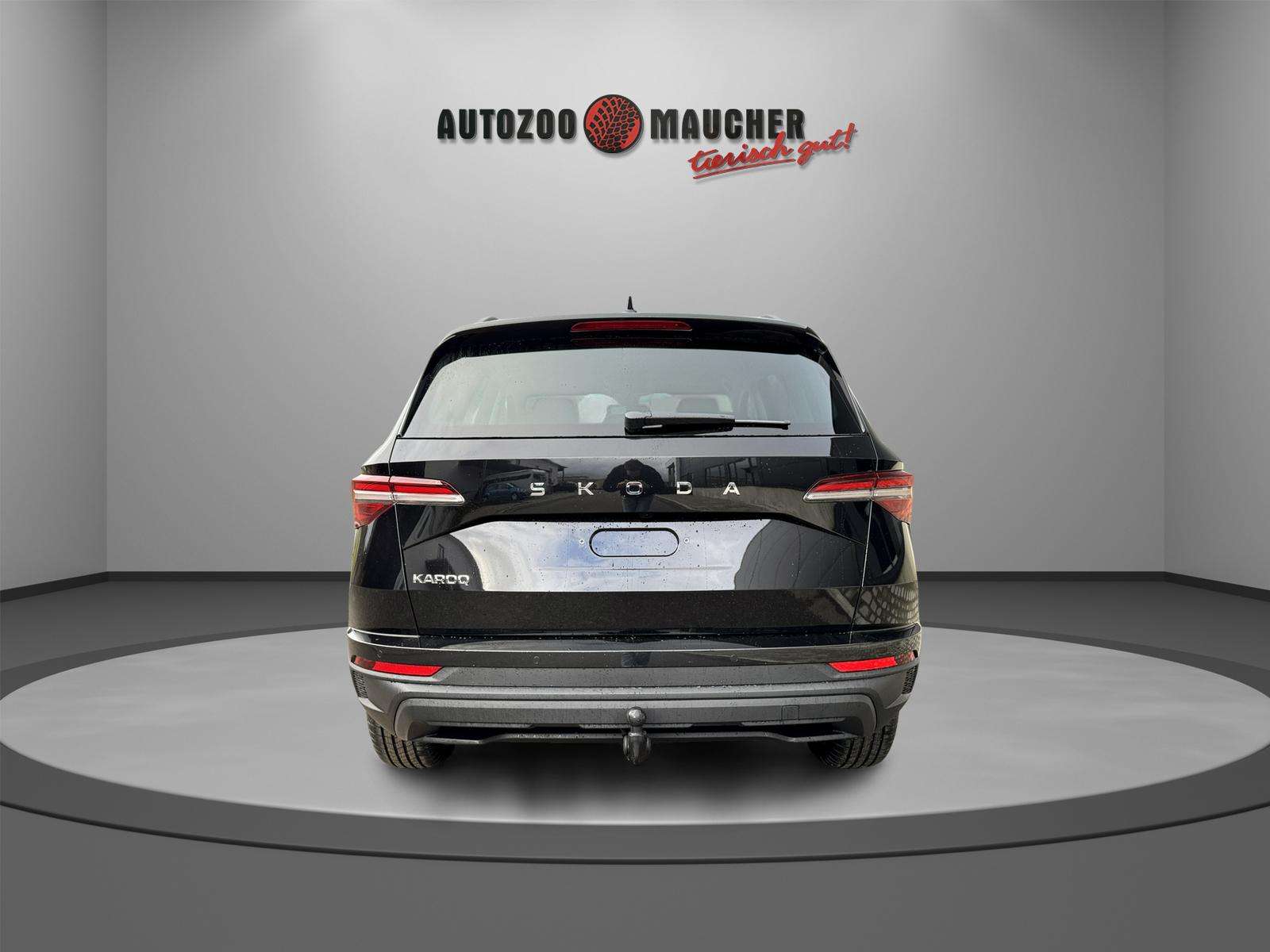 Fahrzeugbild eines Skoda Karoq