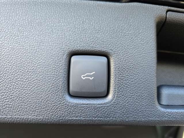 Fahrzeugbild eines Ford Kuga