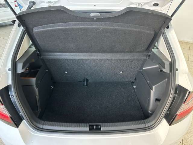 Fahrzeugbild eines Skoda Fabia