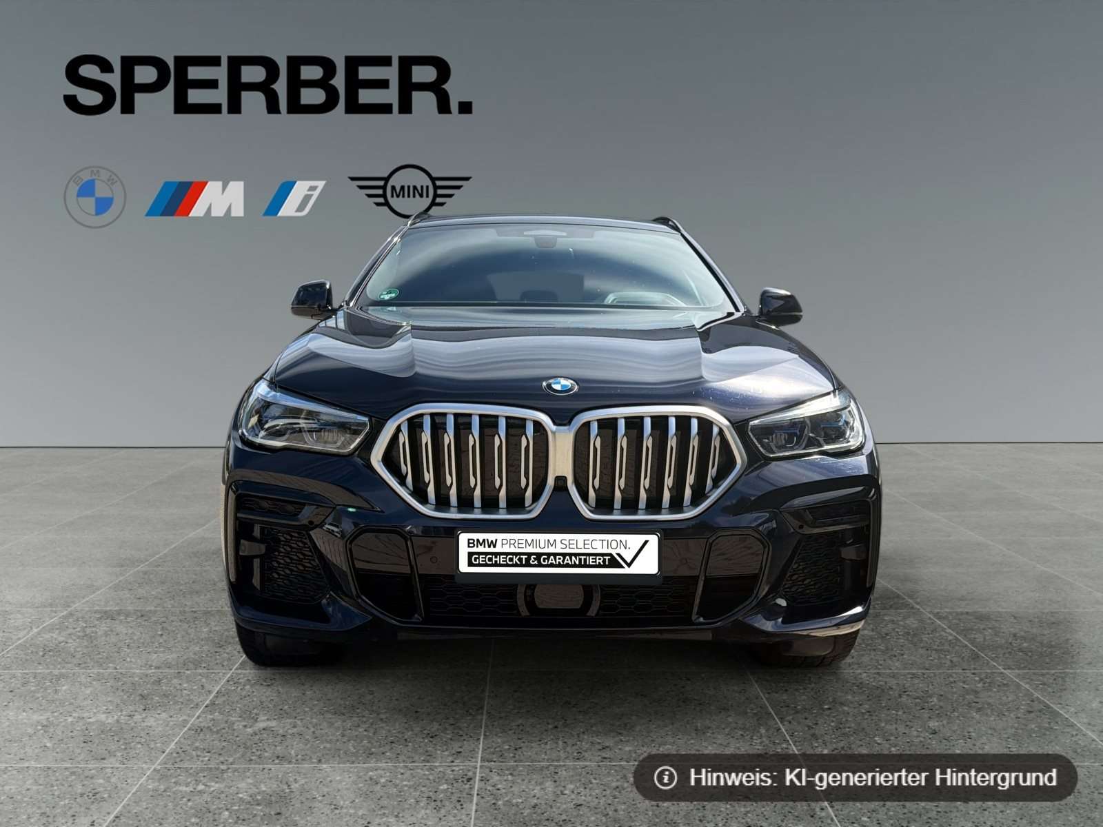 Fahrzeugbild eines BMW X6