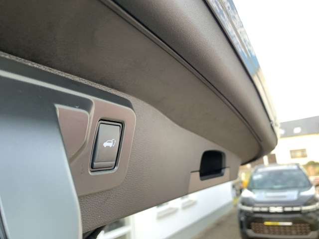 Fahrzeugbild eines Renault Austral