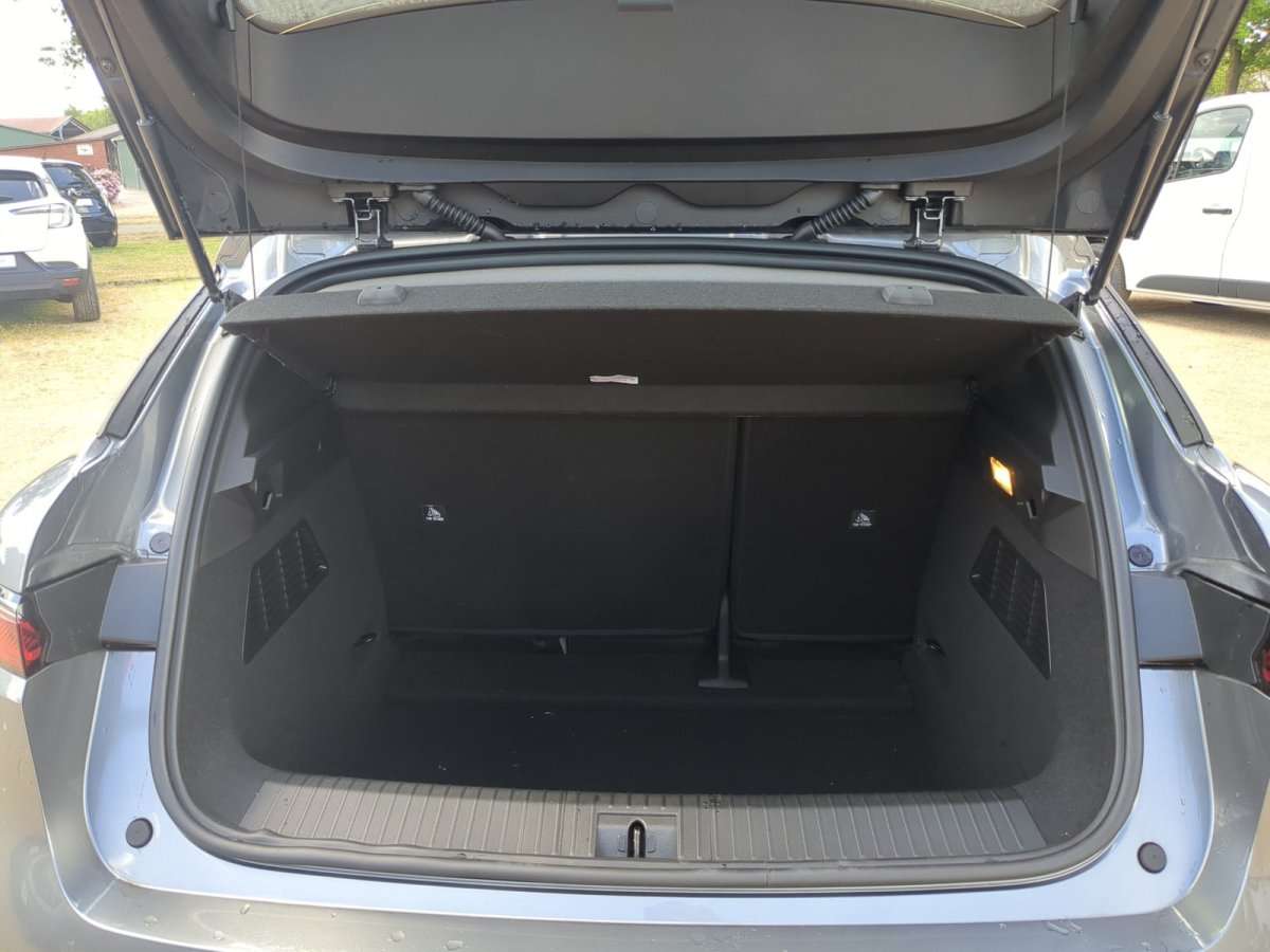 Fahrzeugbild eines Renault Mégane