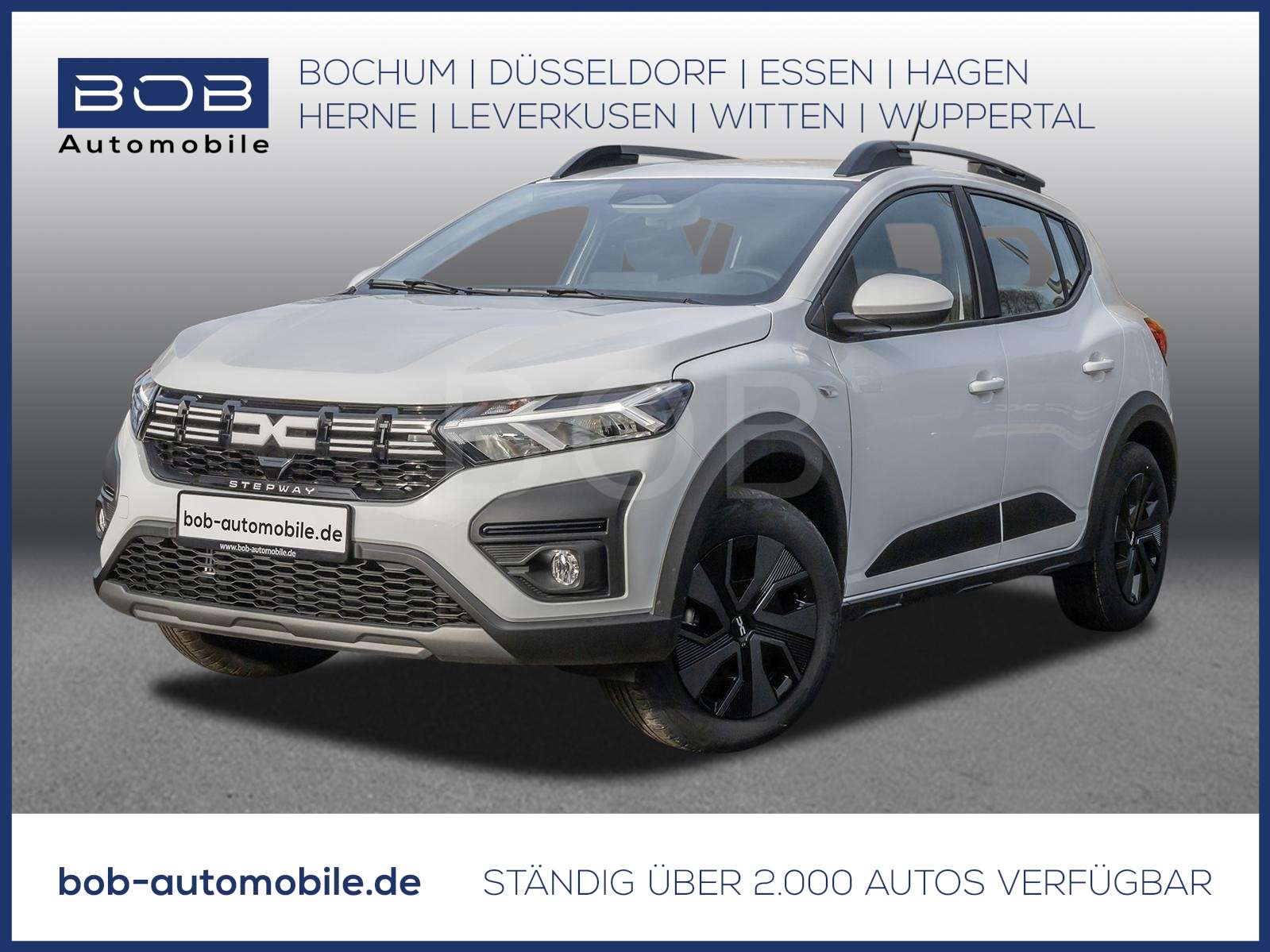 Fahrzeugbild eines Dacia Sandero