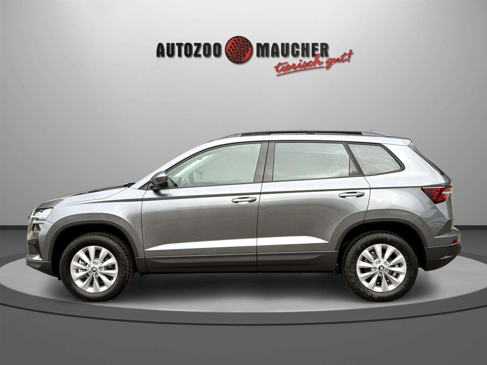 Fahrzeugbild eines Skoda Karoq
