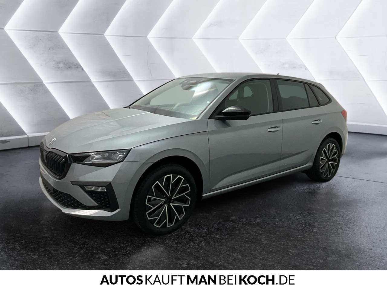 Fahrzeugbild eines Skoda Scala