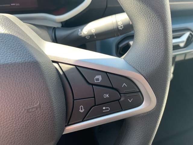 Fahrzeugbild eines Dacia Spring