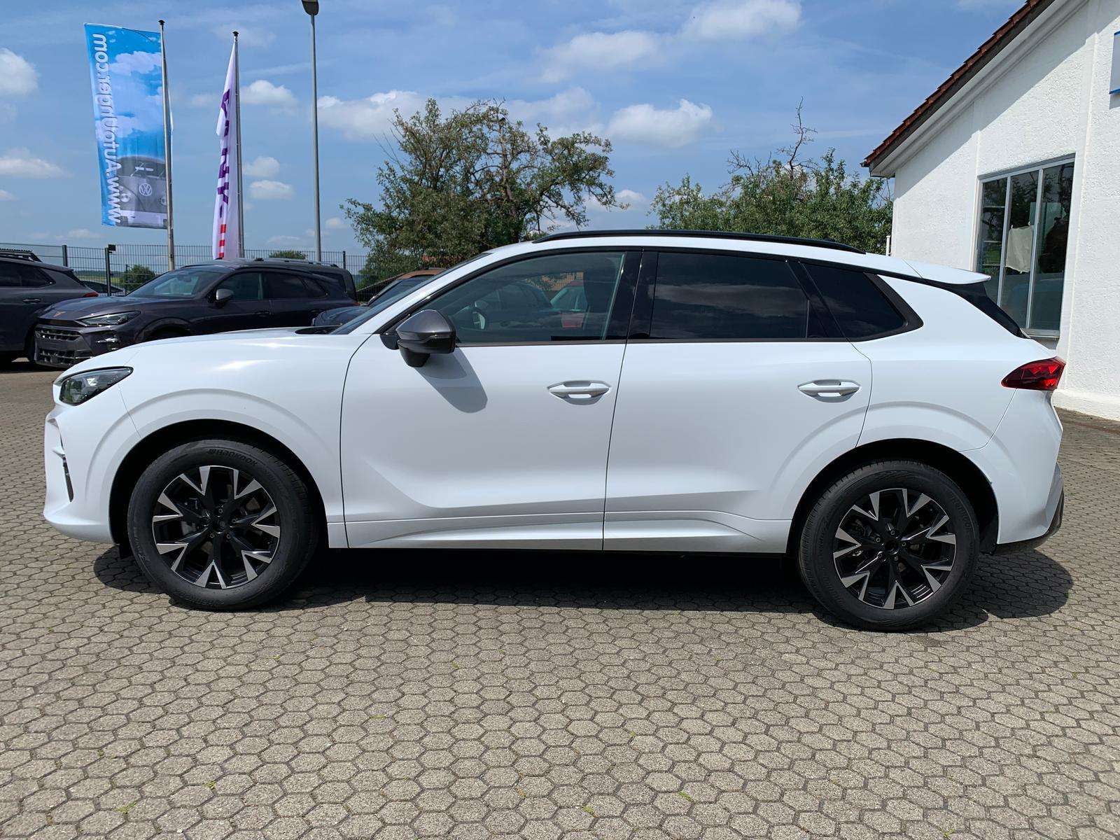 Fahrzeugbild eines CUPRA Terramar