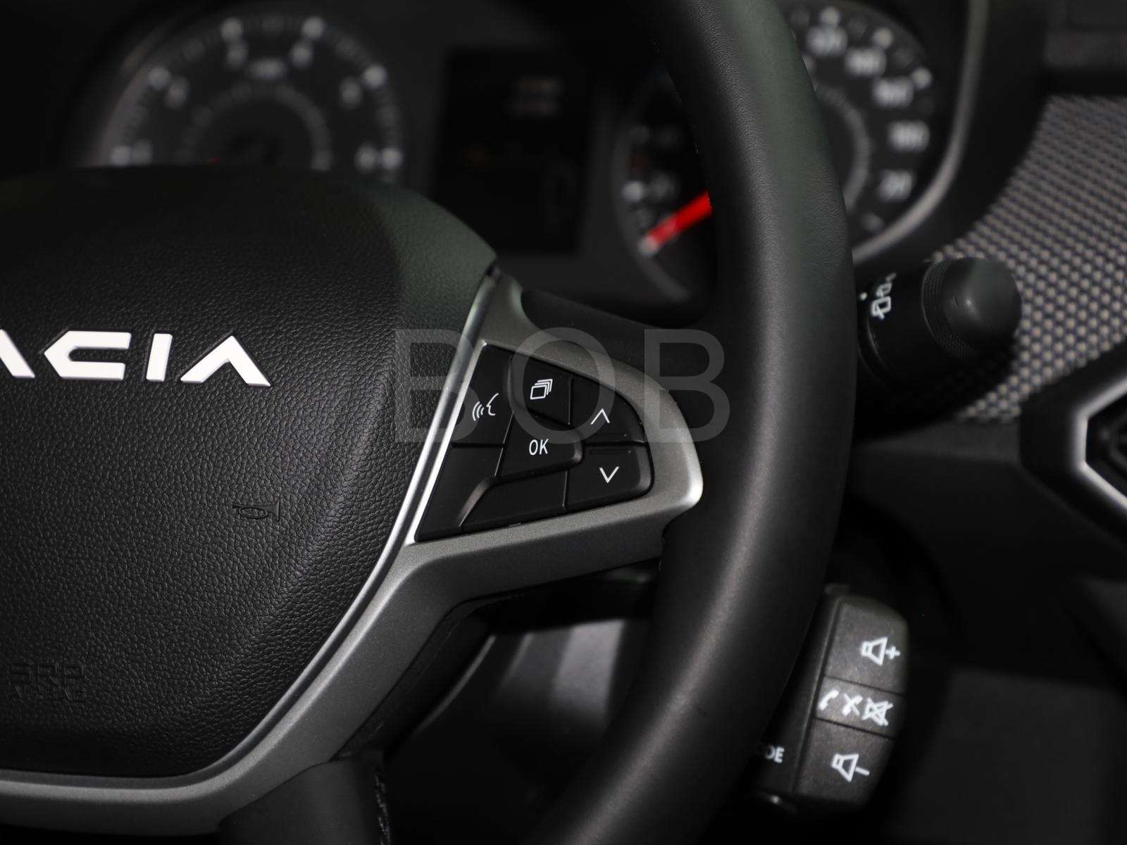 Fahrzeugbild eines Dacia Sandero