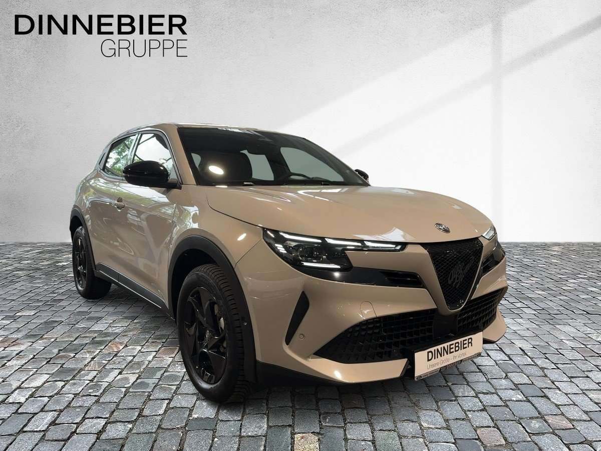 Fahrzeugbild eines Alfa Romeo Junior