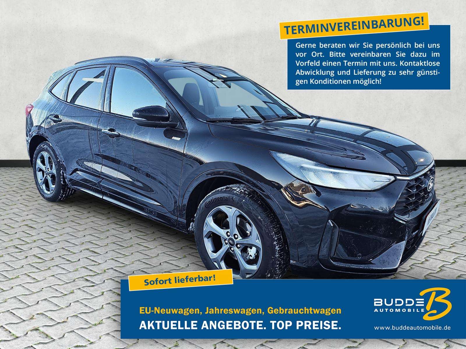 Fahrzeugbild eines Ford Kuga