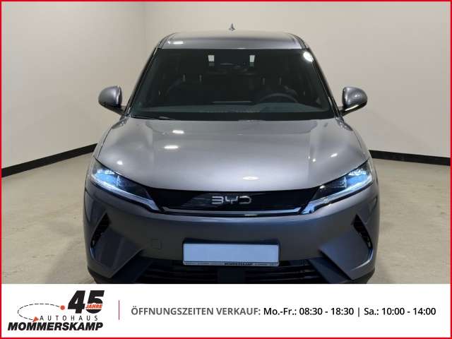 Fahrzeugbild eines BYD Atto 2