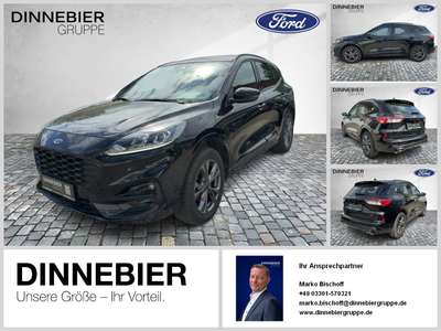Bild Ford Kuga