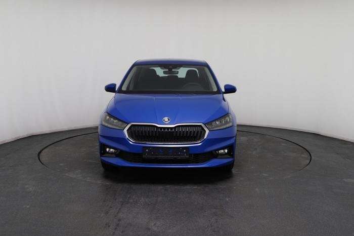 Fahrzeugbild eines Skoda Fabia