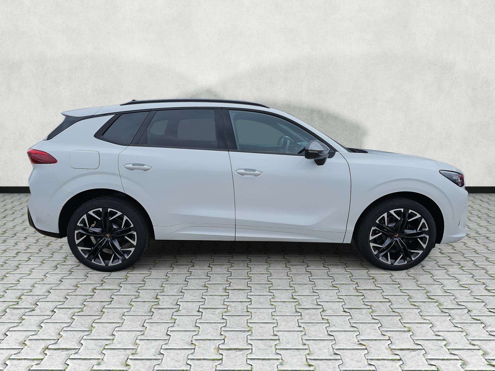 Fahrzeugbild eines CUPRA Terramar