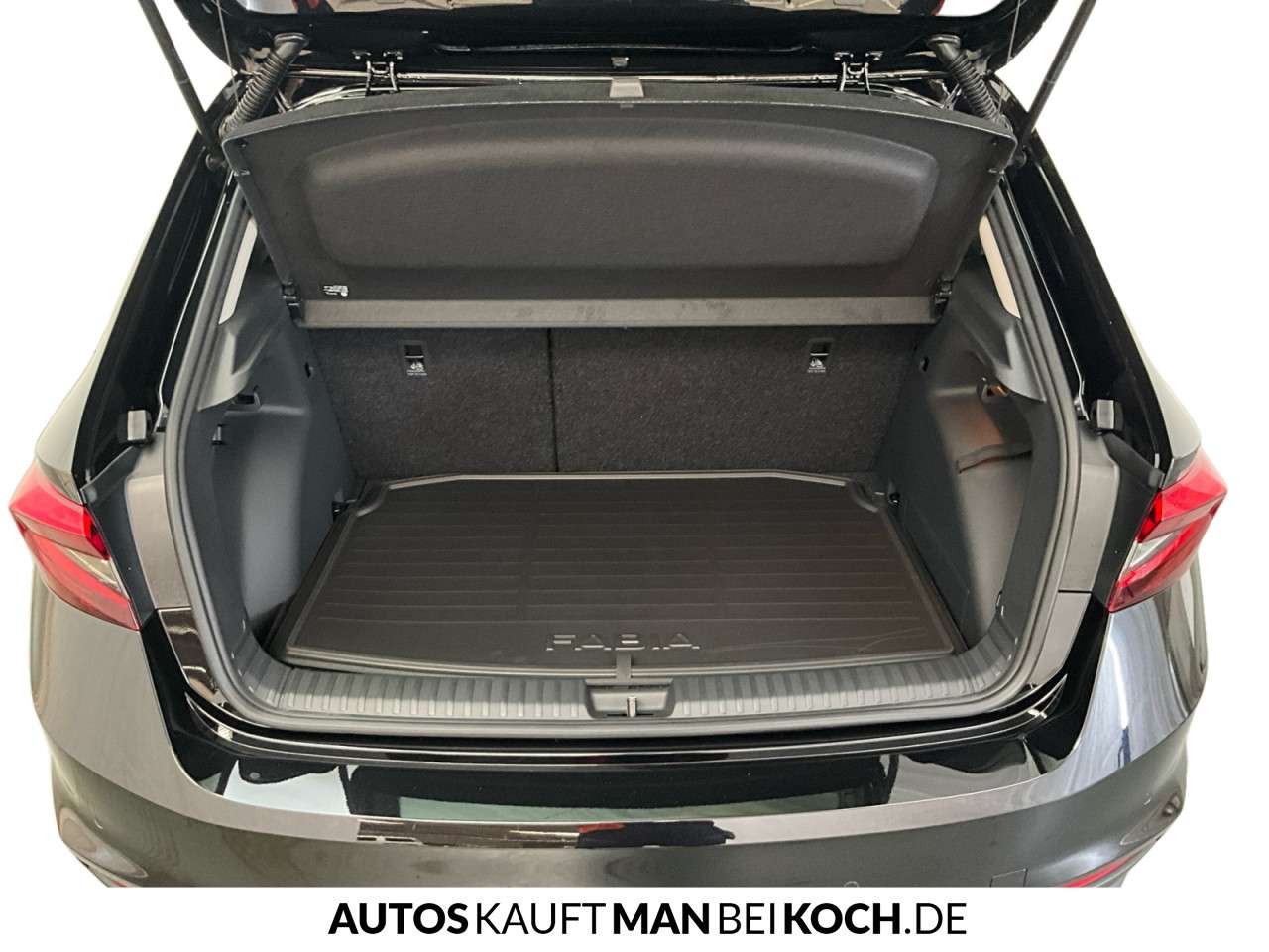 Fahrzeugbild eines Skoda Fabia