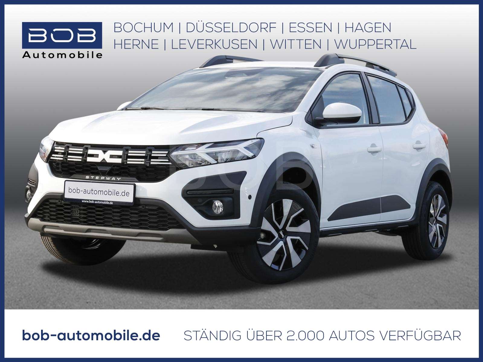 Fahrzeugbild eines Dacia Sandero