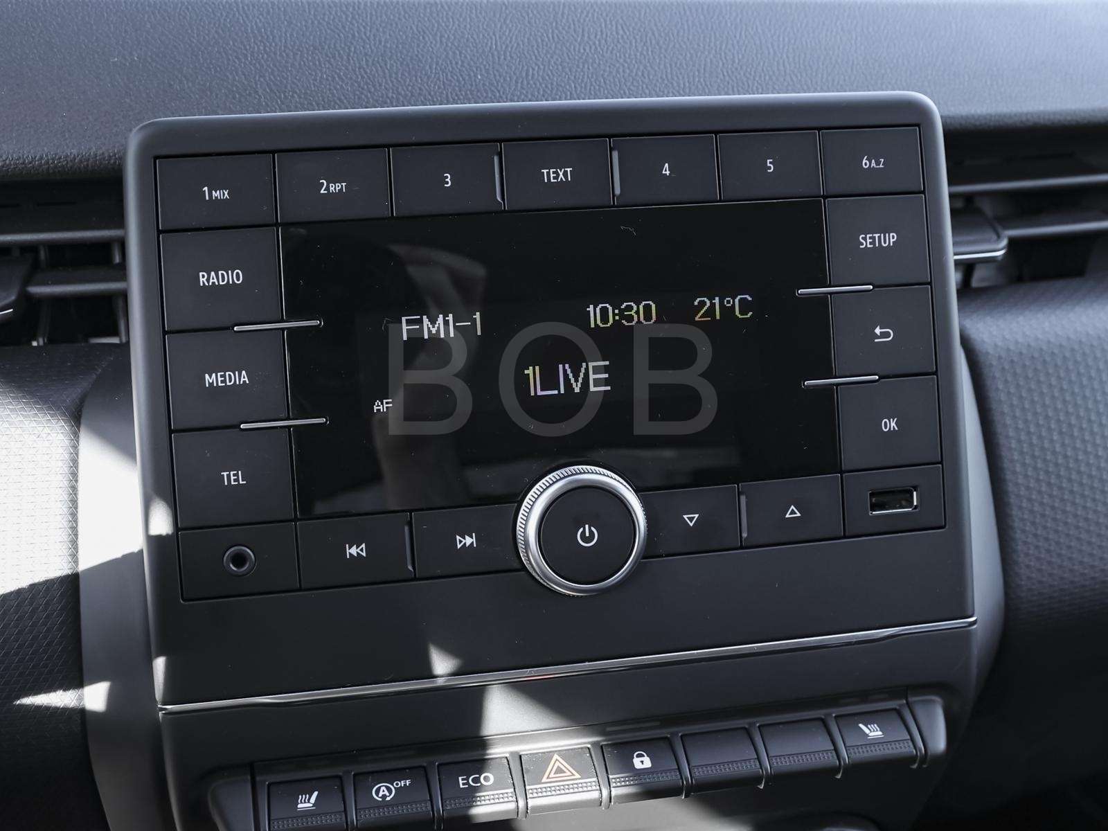 Fahrzeugbild eines Renault Clio