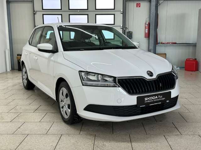 Fahrzeugbild eines Skoda Fabia