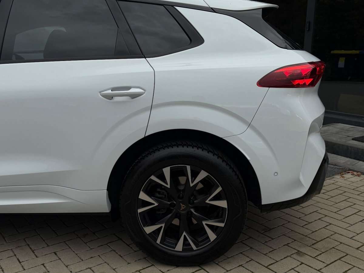 Fahrzeugbild eines CUPRA Terramar