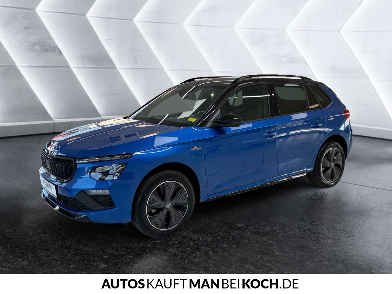 Fahrzeugbild eines Skoda Kamiq
