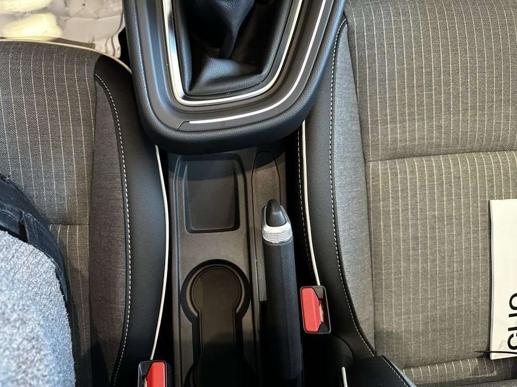 Fahrzeugbild eines Renault Clio