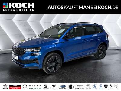 Bild Skoda Karoq