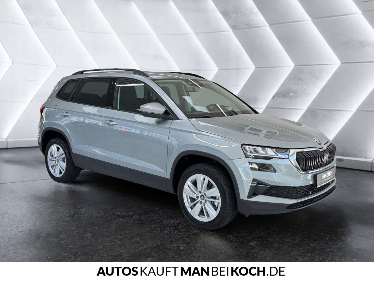 Fahrzeugbild eines Skoda Karoq