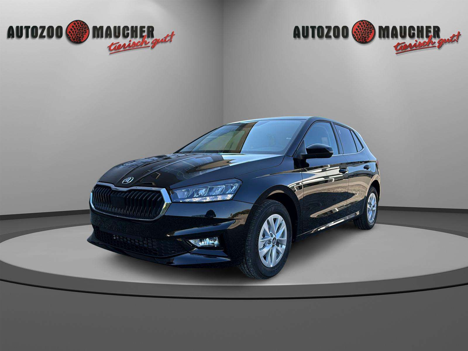 Fahrzeugbild eines Skoda Fabia