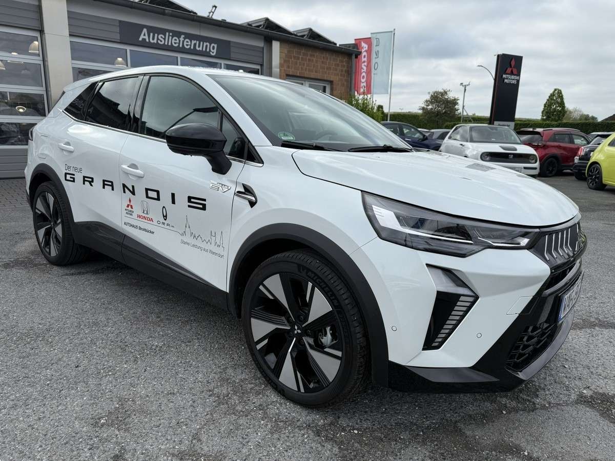 Fahrzeugbild eines Mitsubishi Grandis
