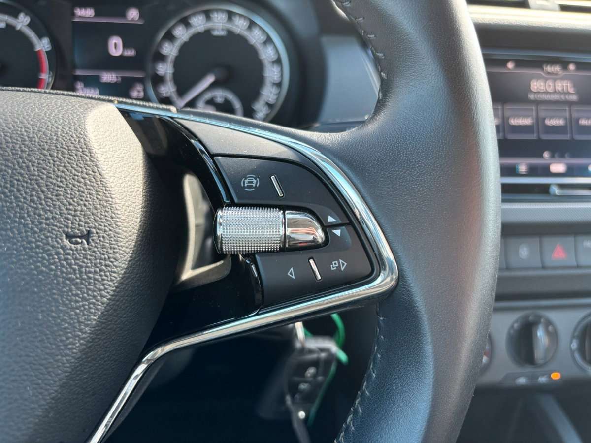 Fahrzeugbild eines Skoda Fabia