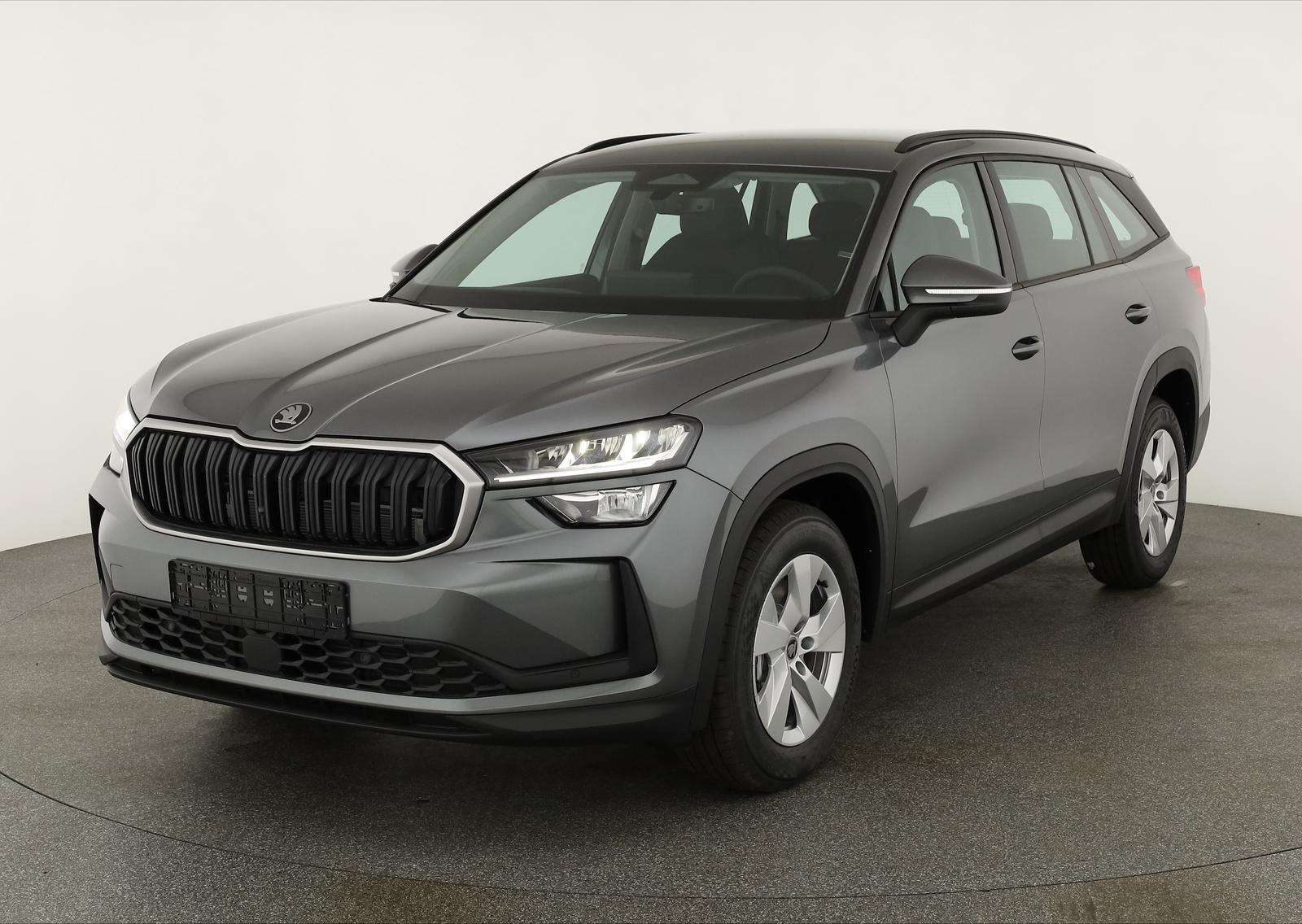Fahrzeugbild eines Skoda Kodiaq