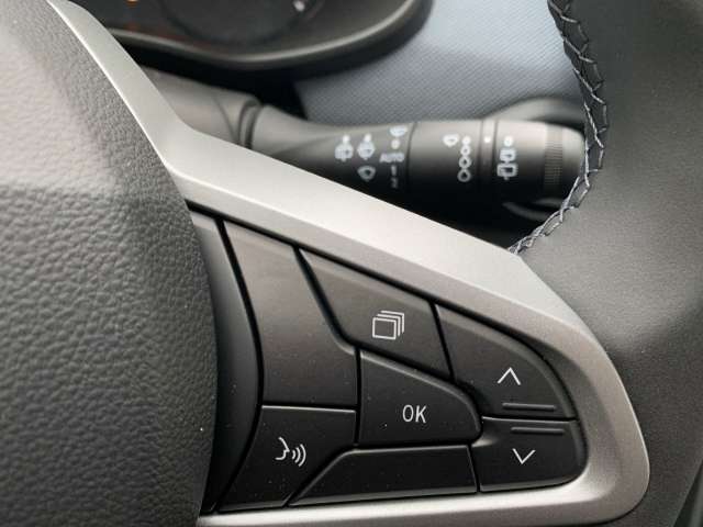 Fahrzeugbild eines Dacia Sandero