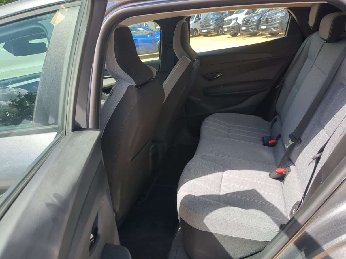 Fahrzeugbild eines Renault Mégane