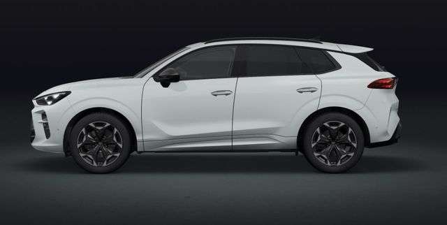 Fahrzeugbild eines CUPRA Terramar