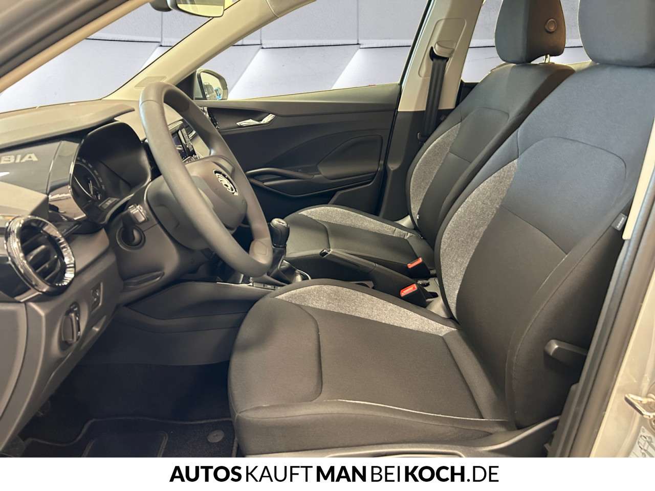 Fahrzeugbild eines Skoda Fabia