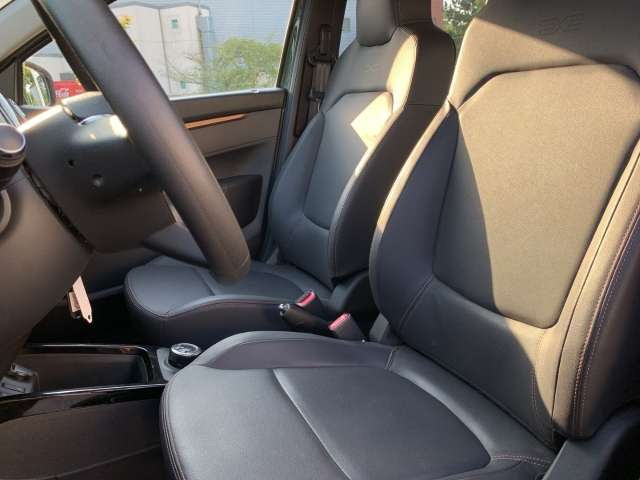 Fahrzeugbild eines Dacia Spring