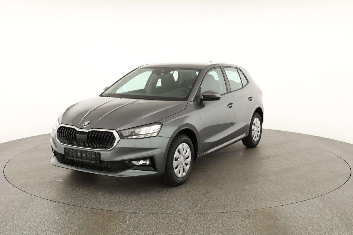 Fahrzeugbild eines Skoda Fabia