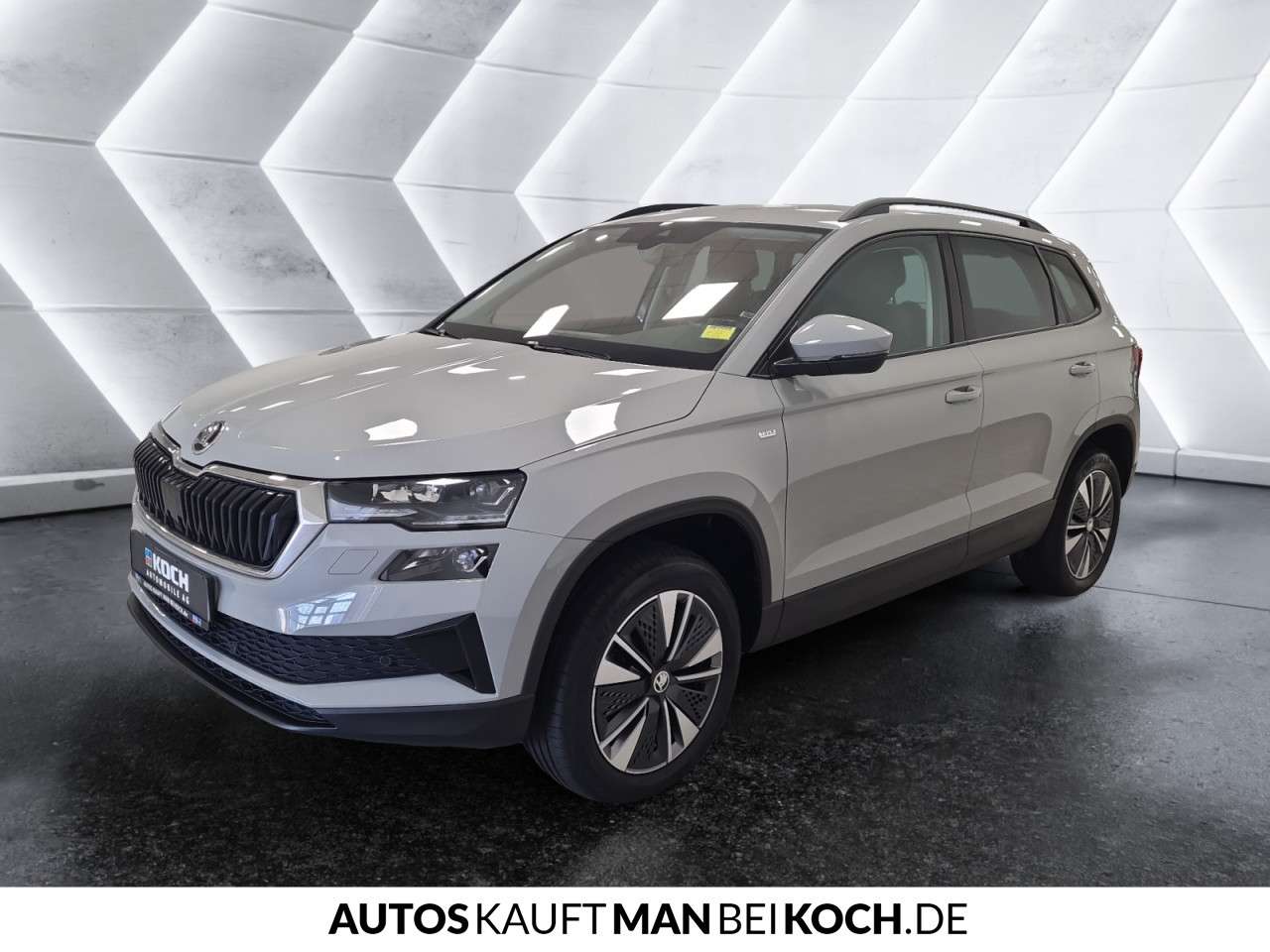 Fahrzeugbild eines Skoda Karoq