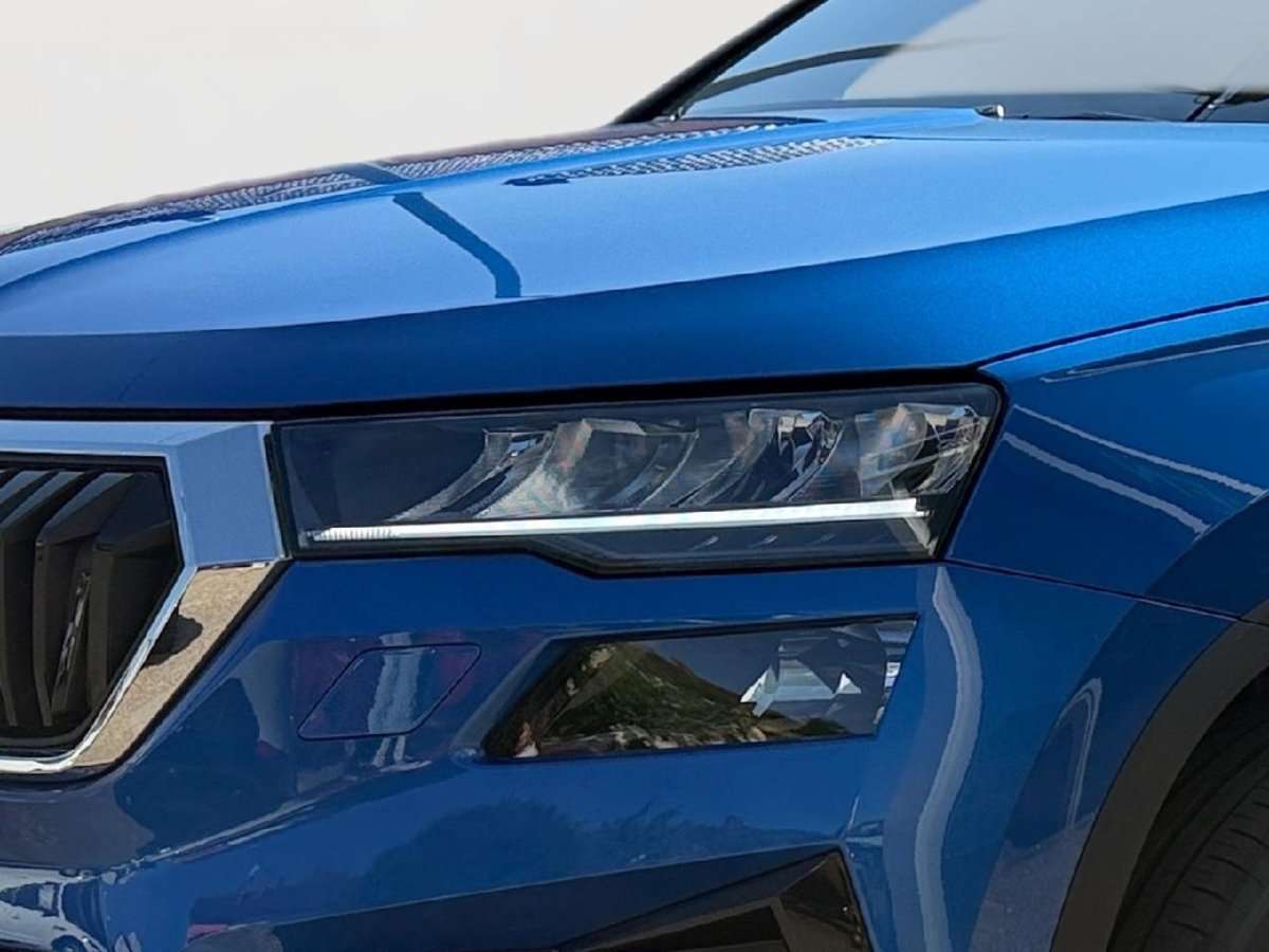 Fahrzeugbild eines Skoda Karoq