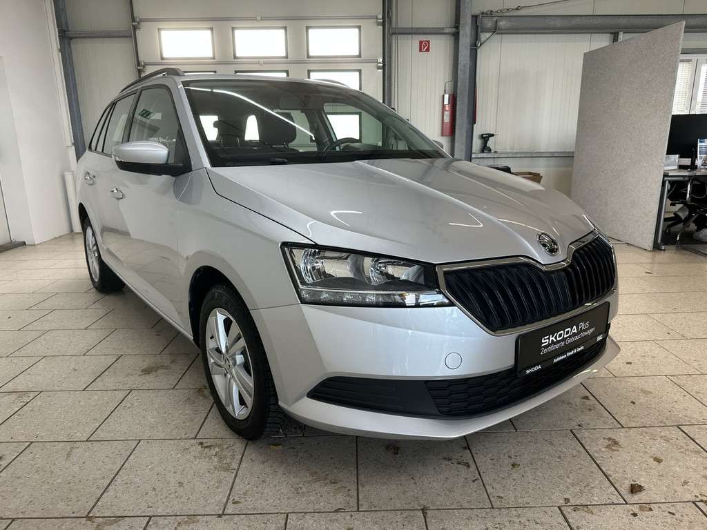Fahrzeugbild eines Skoda Fabia